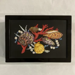 Scatola di conchiglie, coralli e perle