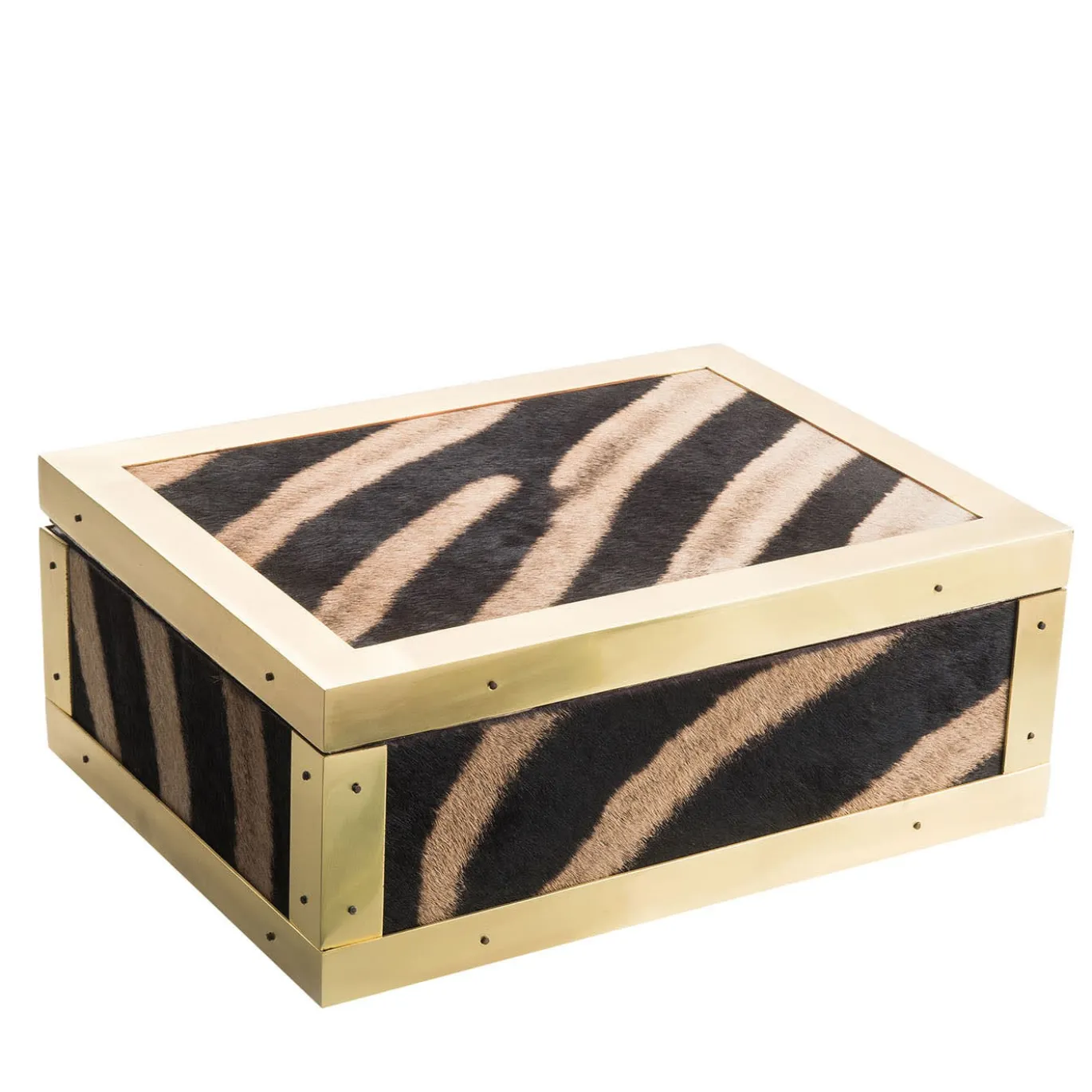 Scatola in Pelle di Zebra e Ottone Memories