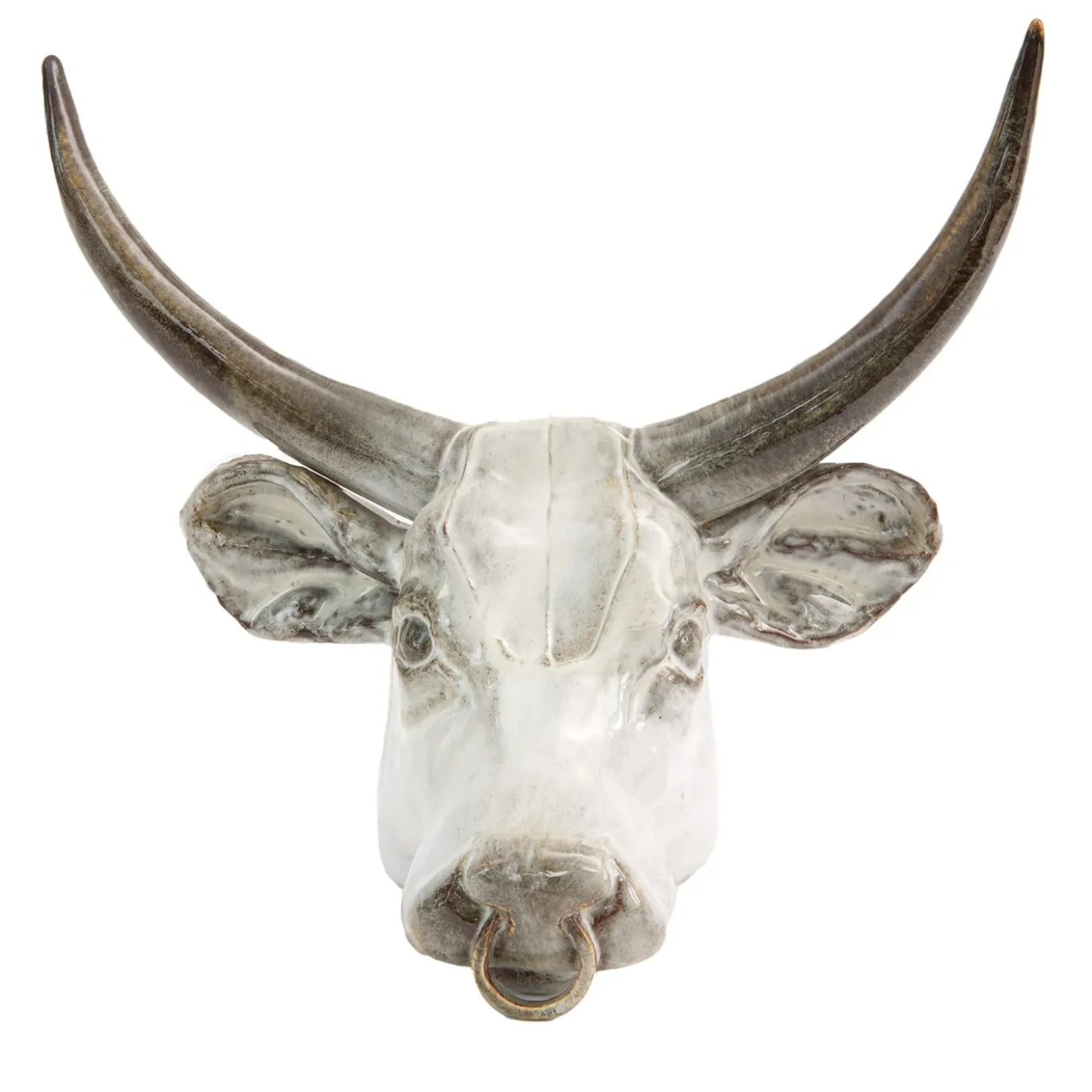 Scultura da parete con trofeo del toro