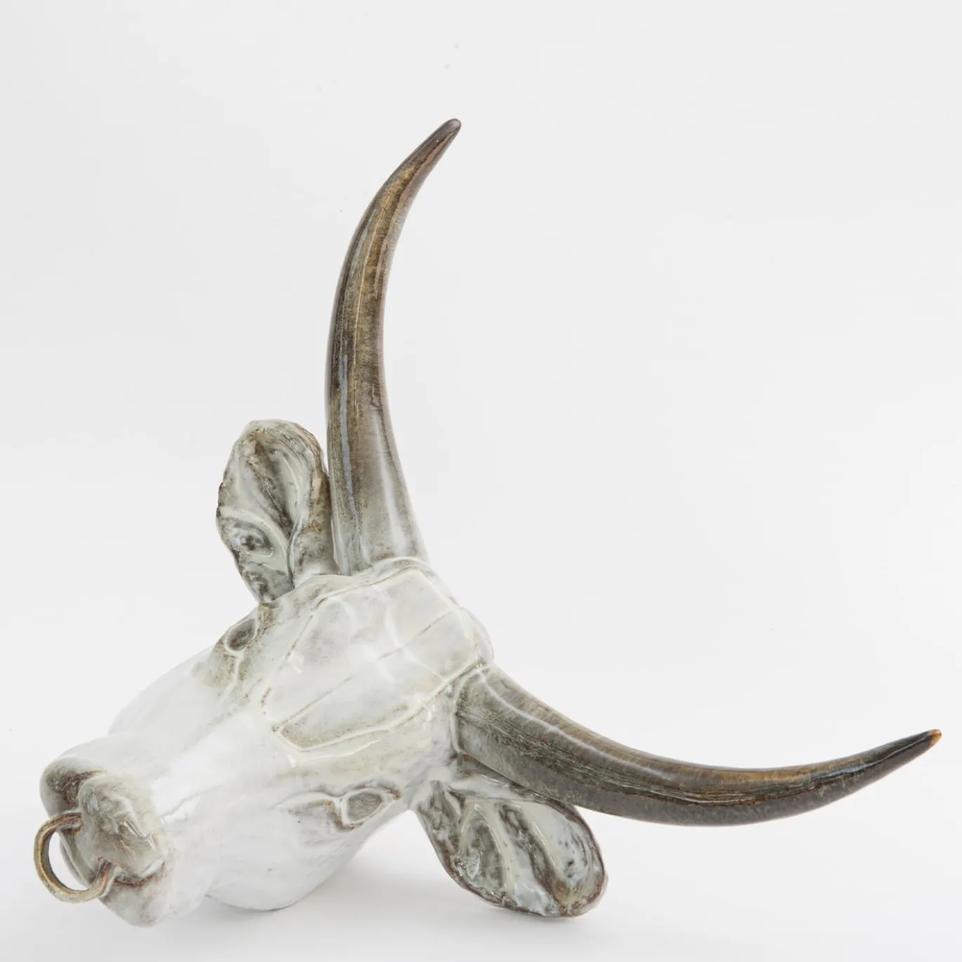 Scultura da parete con trofeo del toro