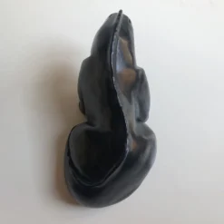 Scultura di iguana nera