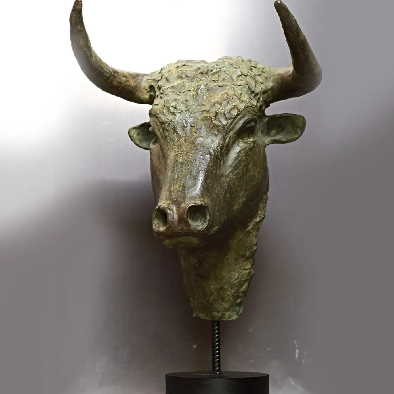 Scultura in bronzo Testa di Toro