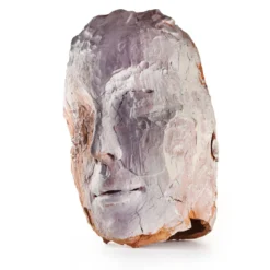 Scultura Volto