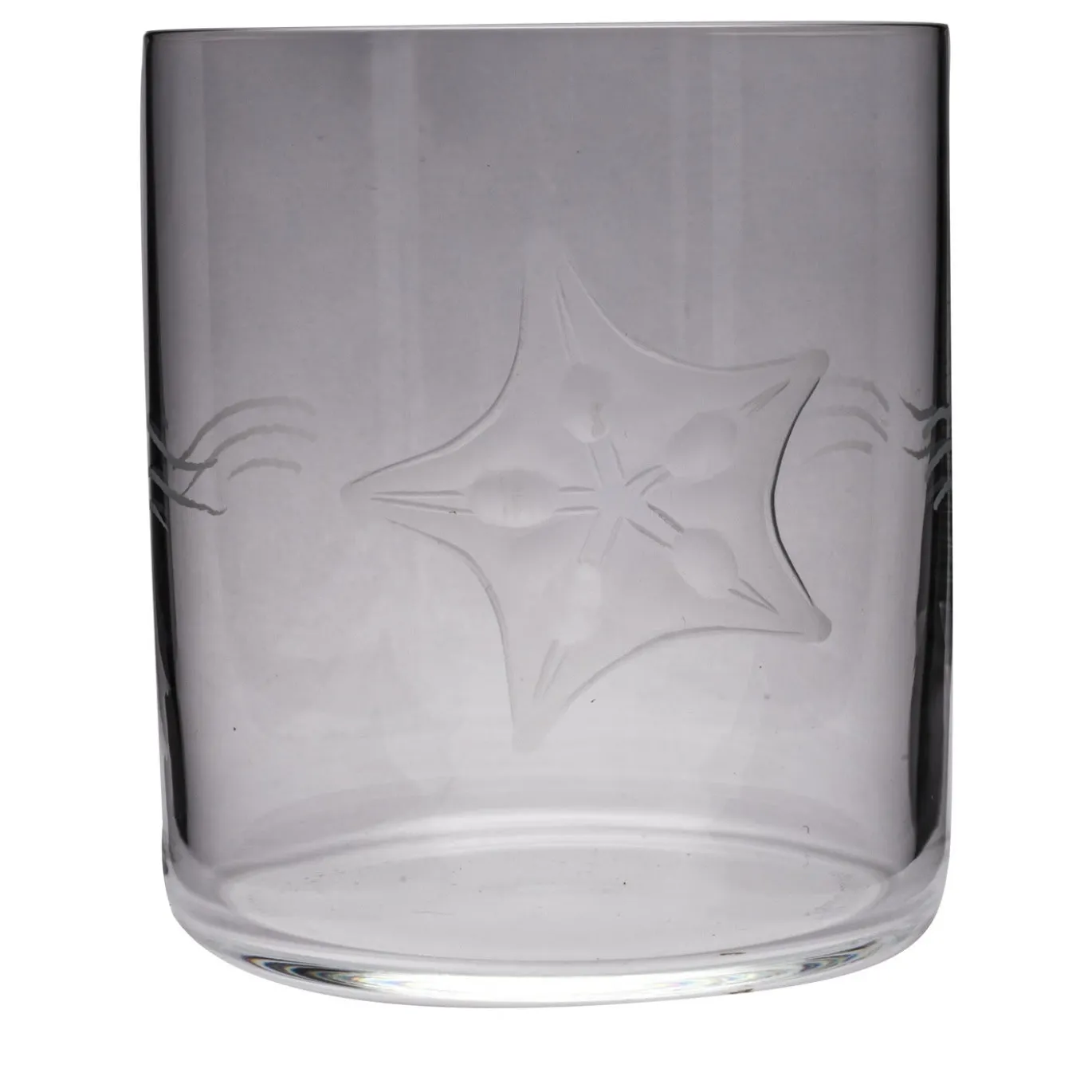 Set di 6 bicchieri da acqua a tema marino