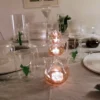 Set di 4 bicchieri e brocca con cactus