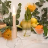 Set di 2 bicchieri highball Pillar
