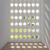 Set di 15 Blocchi Leone in Gesso Bianco