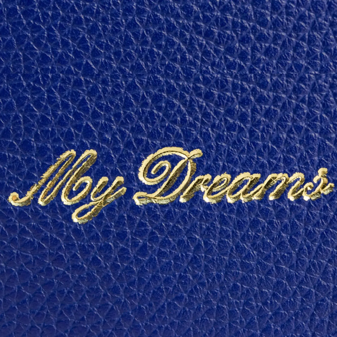 Set di 2 Diari in Pelle Blu My Dreams
