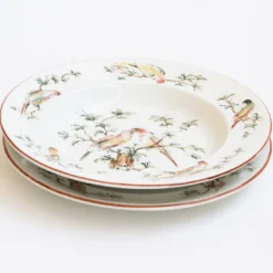 Set di 4 Piatti Fondi Pappagallini