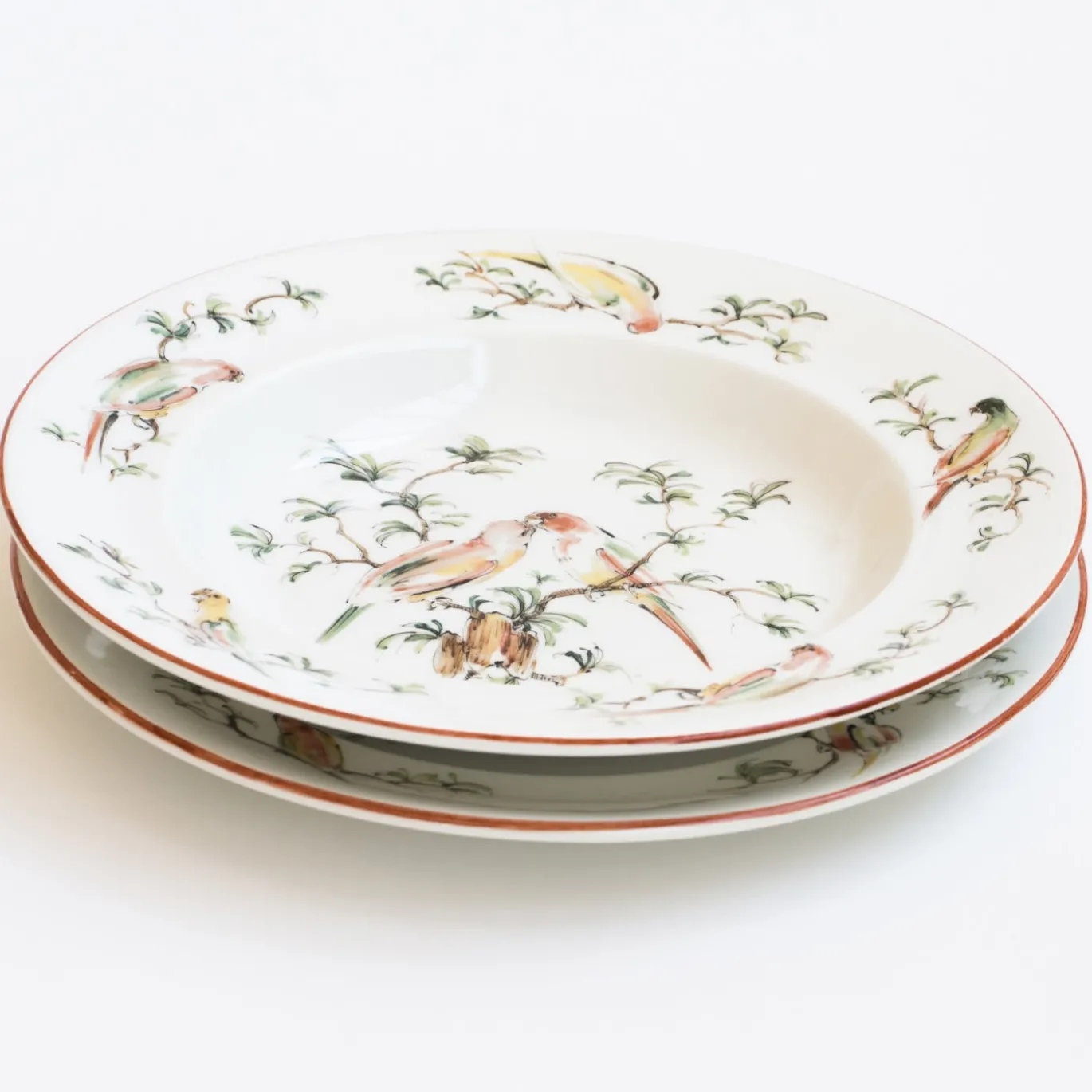 Set di 4 Piatti Piani Pappagallini