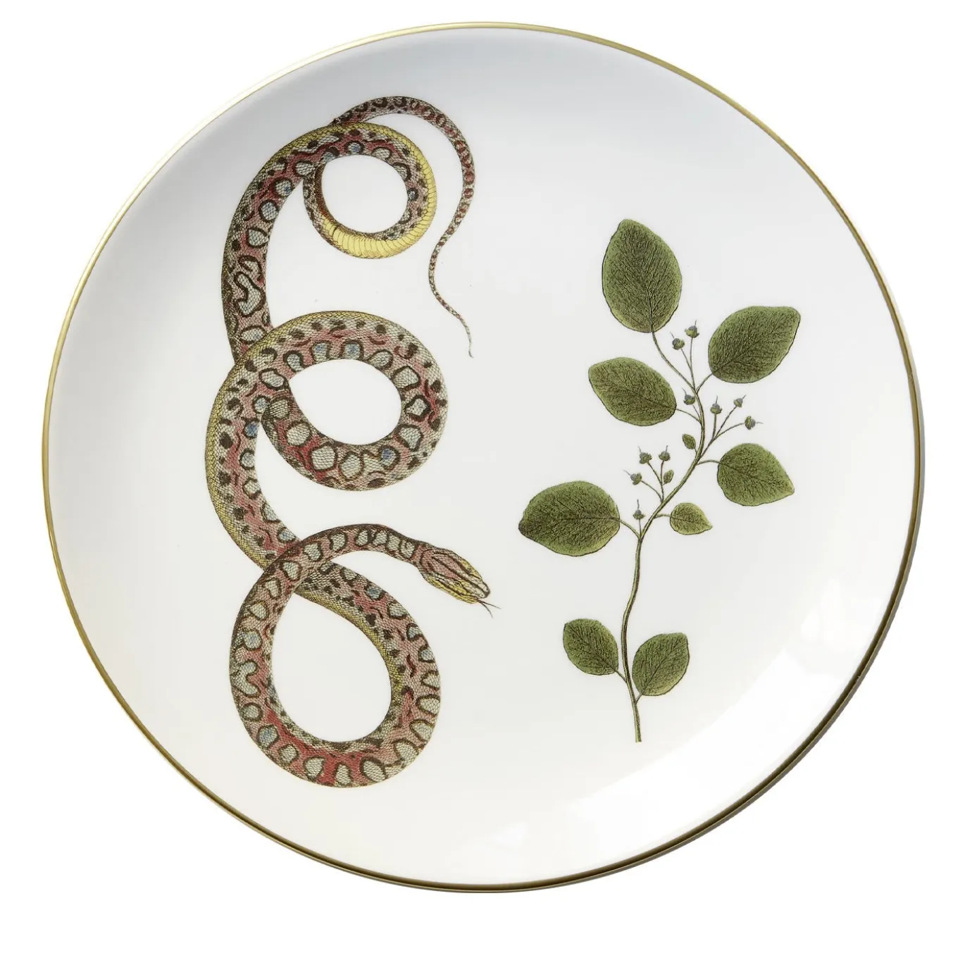 Set di 3 Piatti Piani Serpi #1 in Ceramica Bianca