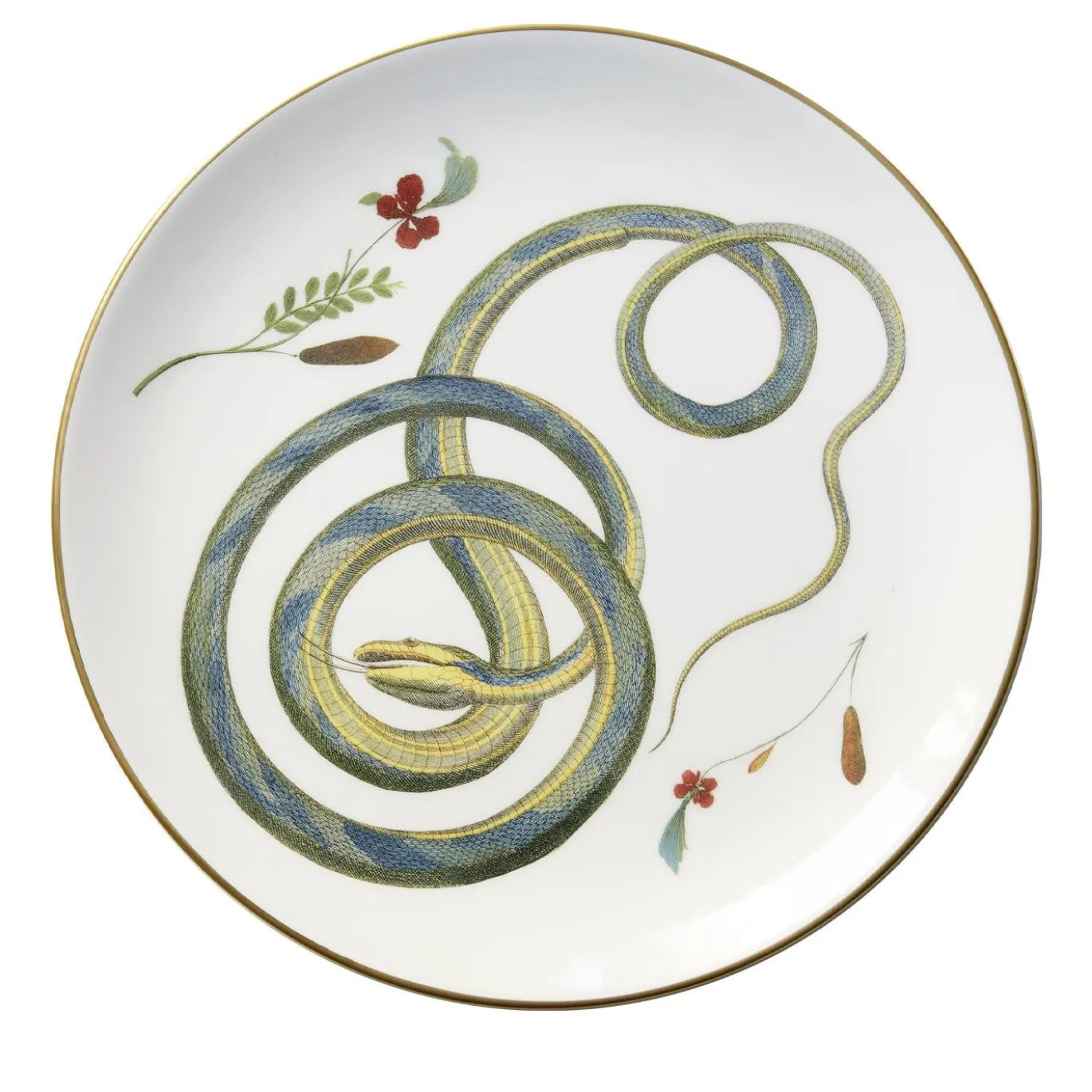 Set di 3 Piatti Piani Serpi #1 in Ceramica Bianca