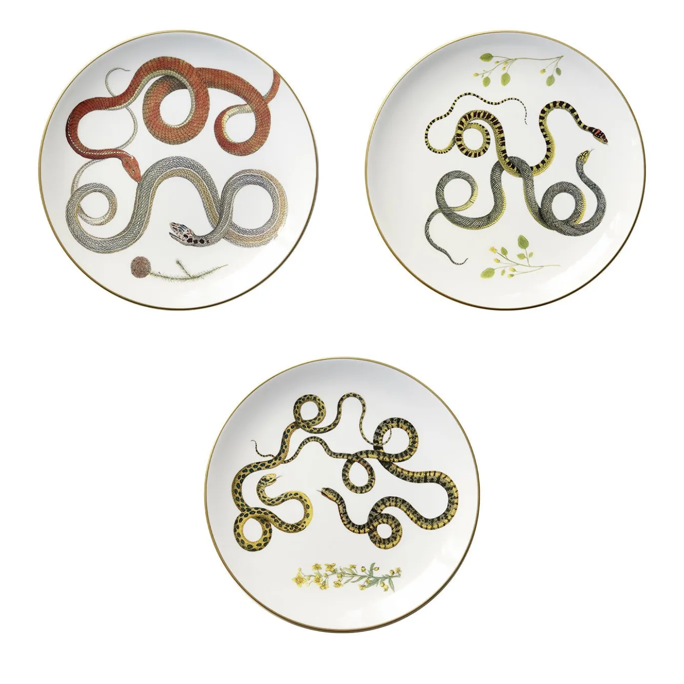 Set di 3 Piatti Piani Serpi #2 in Ceramica Bianca