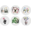Set di 6 piatti policromi Be a Frida