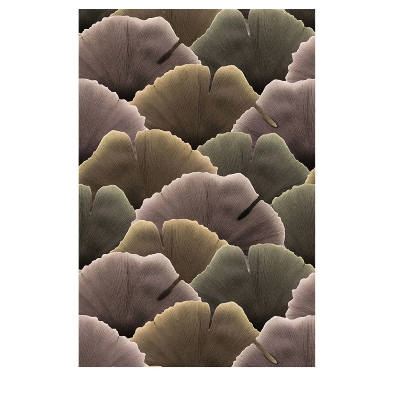 Spring Biloba Facade 22 Carta per esterno