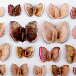 Stampa a Getto su Carta Moths and Butterflies di Chiara Lecca