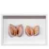 Stampa a Getto su Carta Moths and Butterflies di Chiara Lecca #4