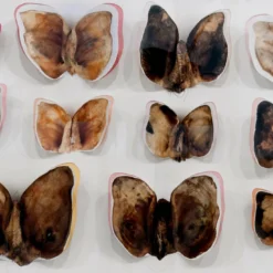 Stampa a Getto su Carta Moths and Butterflies di Chiara Lecca #5