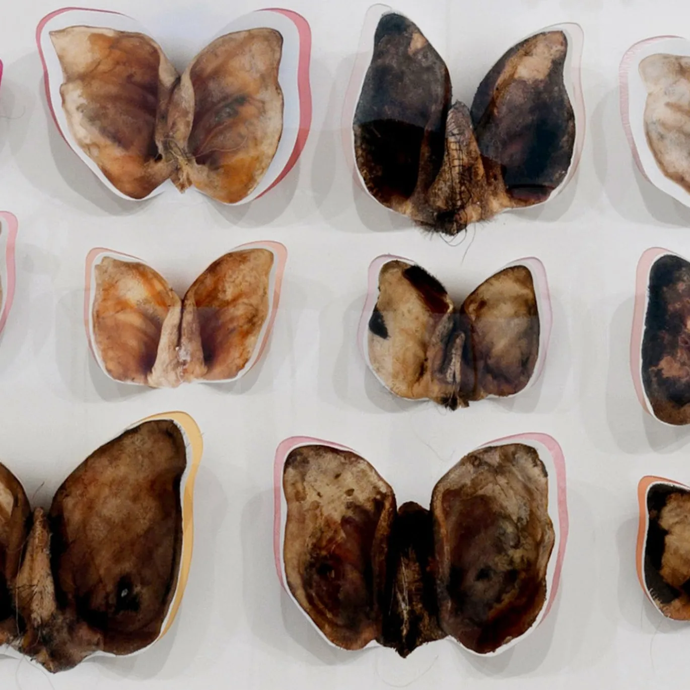 Stampa a Getto su Carta Moths and Butterflies di Chiara Lecca #5