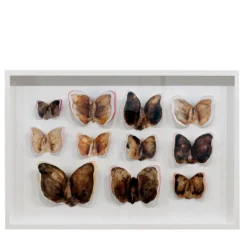 Stampa a Getto su Carta Moths and Butterflies di Chiara Lecca #5