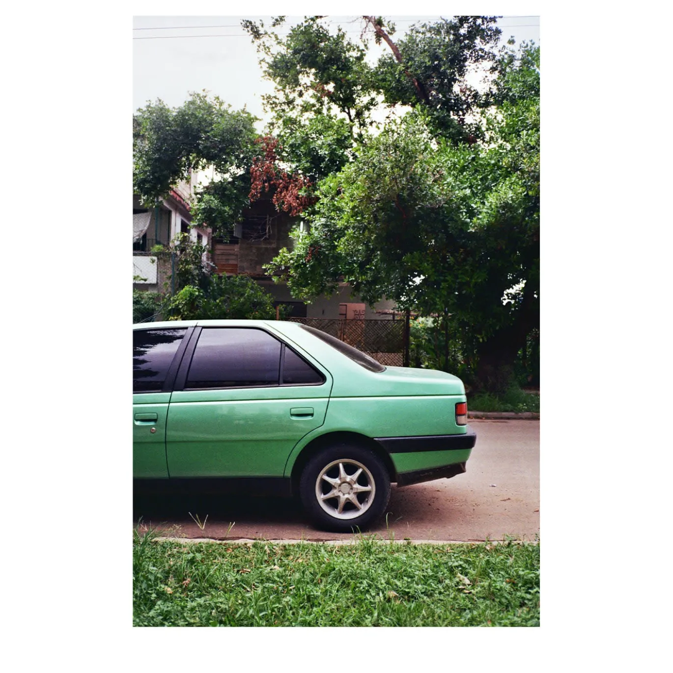 Stampa fotografica Auto Verde