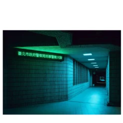 Stampa fotografica della polizia al neon