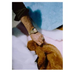Stampa fotografica Peluches