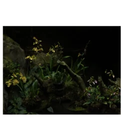 Stampa fotografica Piccolo Paesaggio Verde n.1