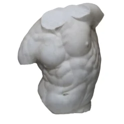 Torso di Gaddi Scultura in marmo