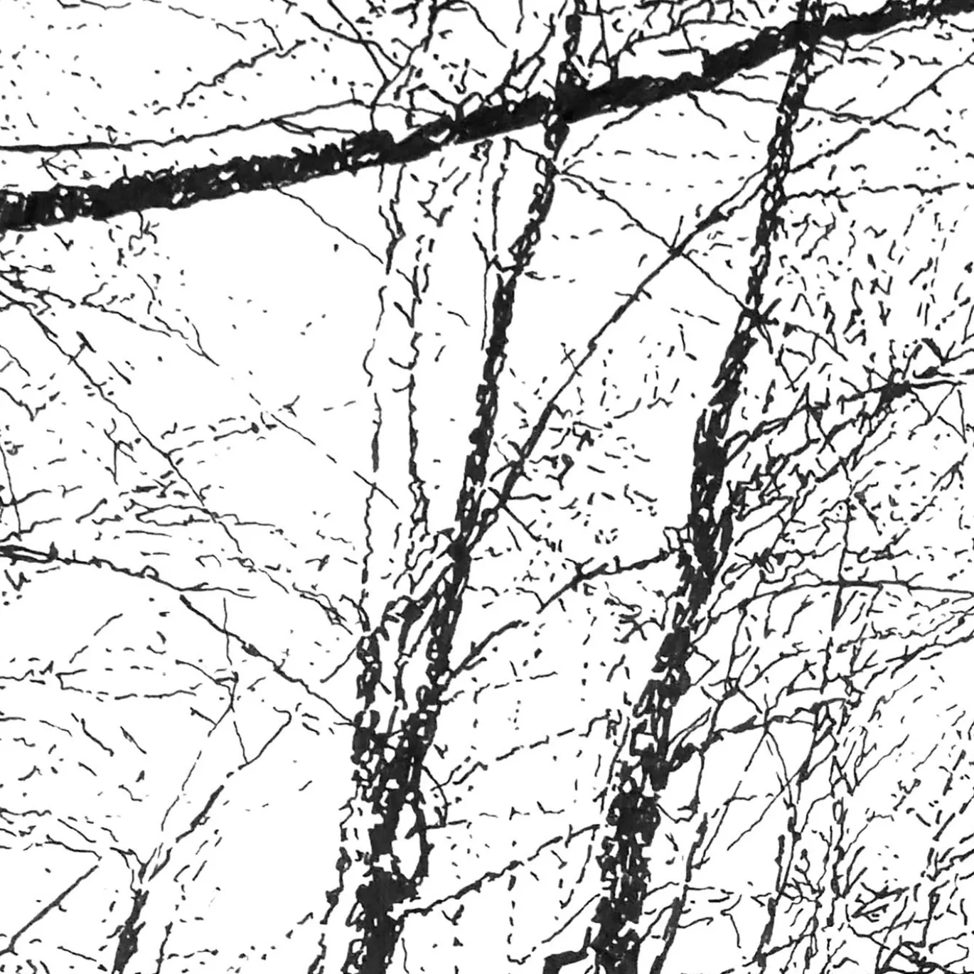 Valle innevata, Morterone Disegno