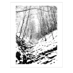 Valle innevata, Morterone Disegno