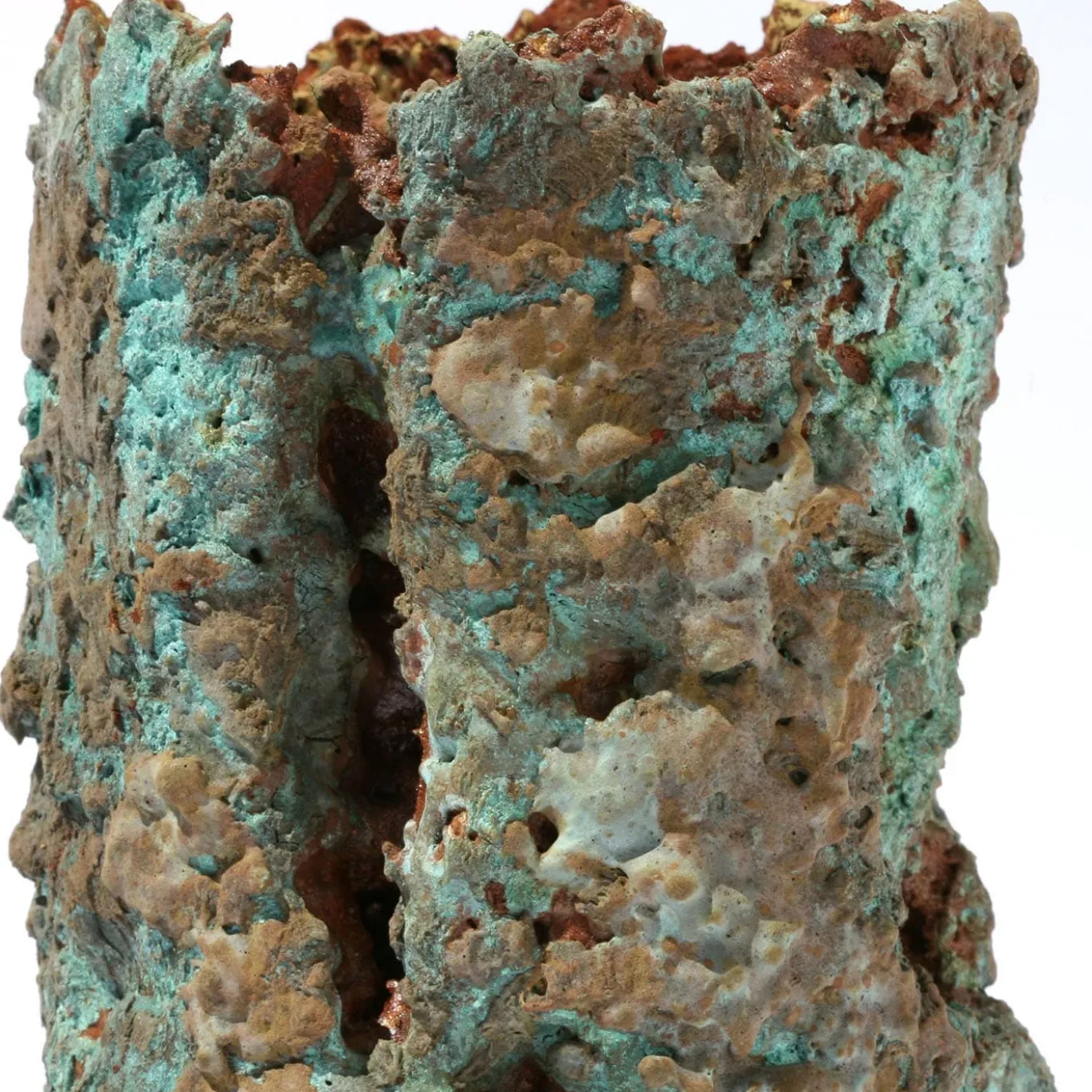 Vaso ornamentale Oxy Radixia Collezione Reperti