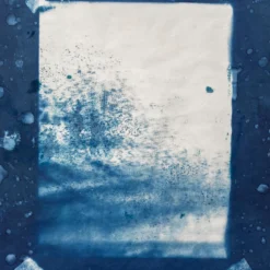 Winter Garden Cyanotype su carta