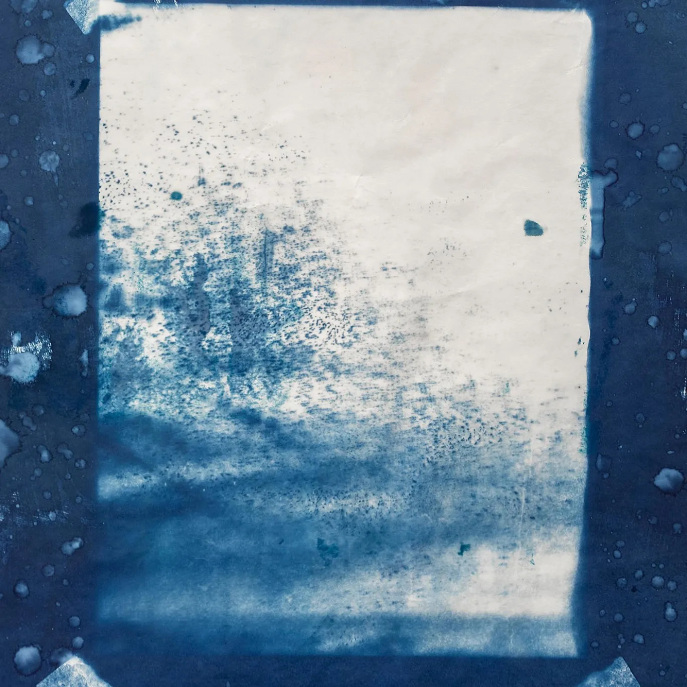 Winter Garden Cyanotype su carta